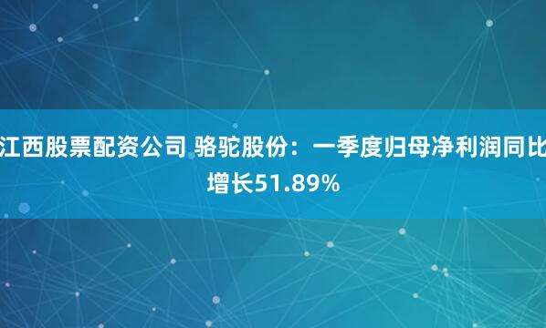 江西股票配资公司 骆驼股份：一季度归母净利润同比增长51.89%