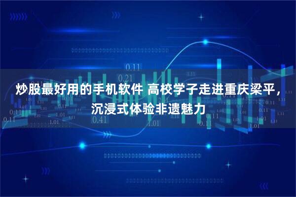 炒股最好用的手机软件 高校学子走进重庆梁平，沉浸式体验非遗魅力
