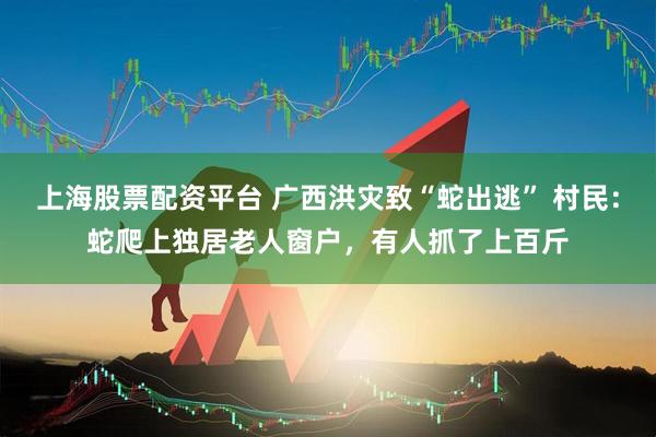 上海股票配资平台 广西洪灾致“蛇出逃” 村民：蛇爬上独居老人窗户，有人抓了上百斤