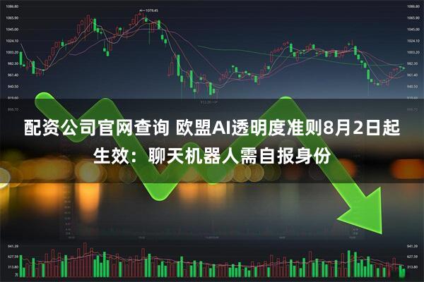 配资公司官网查询 欧盟AI透明度准则8月2日起生效：聊天机器人需自报身份